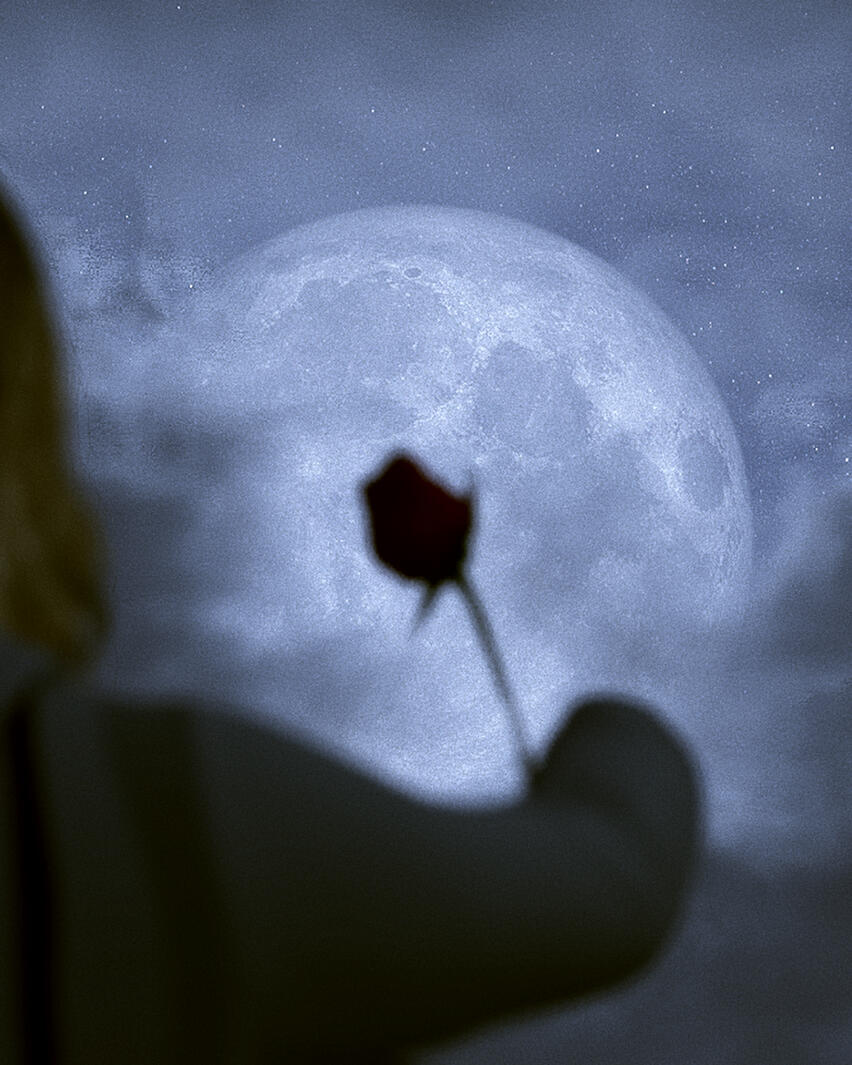 Flower • expressing love without words.