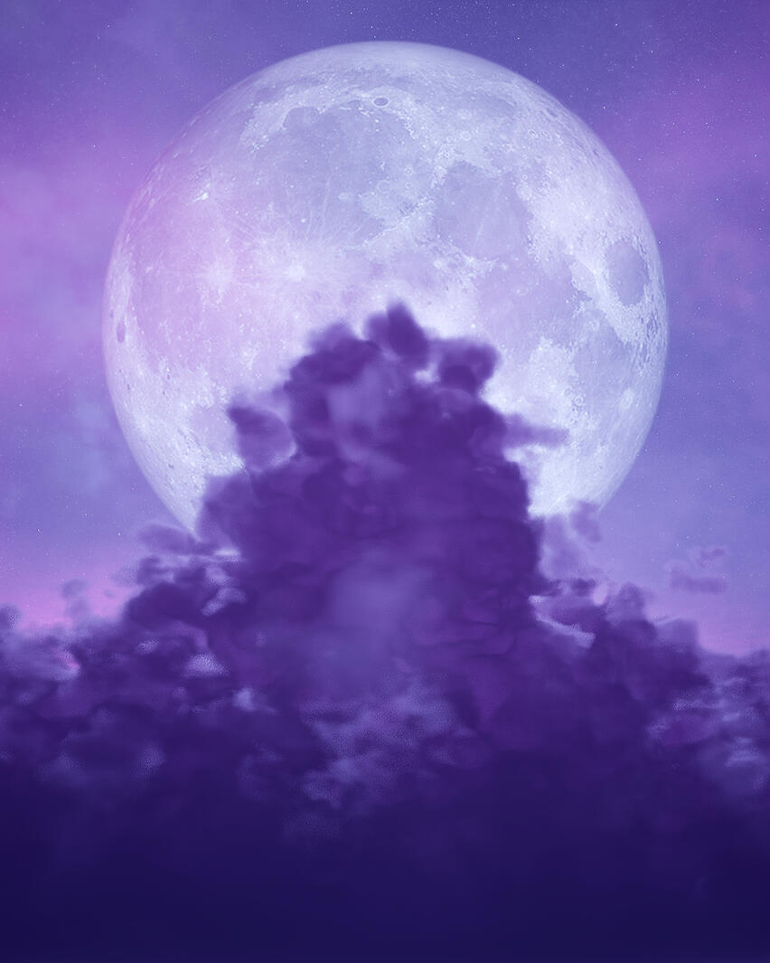 Cotton Candy